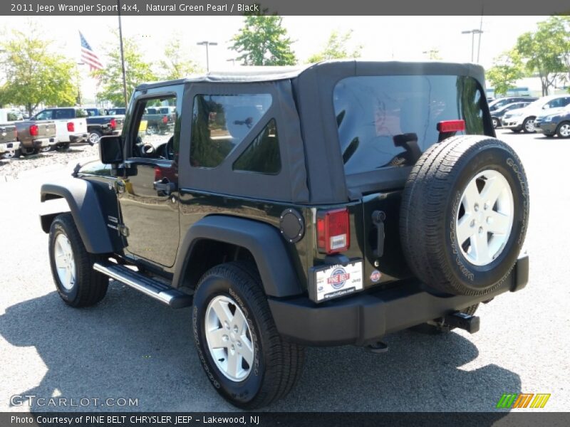 Natural Green Pearl / Black 2011 Jeep Wrangler Sport 4x4