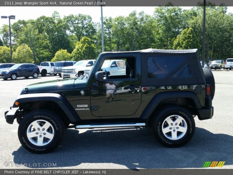 Natural Green Pearl / Black 2011 Jeep Wrangler Sport 4x4