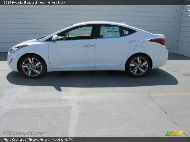 White / Black 2016 Hyundai Elantra Limited