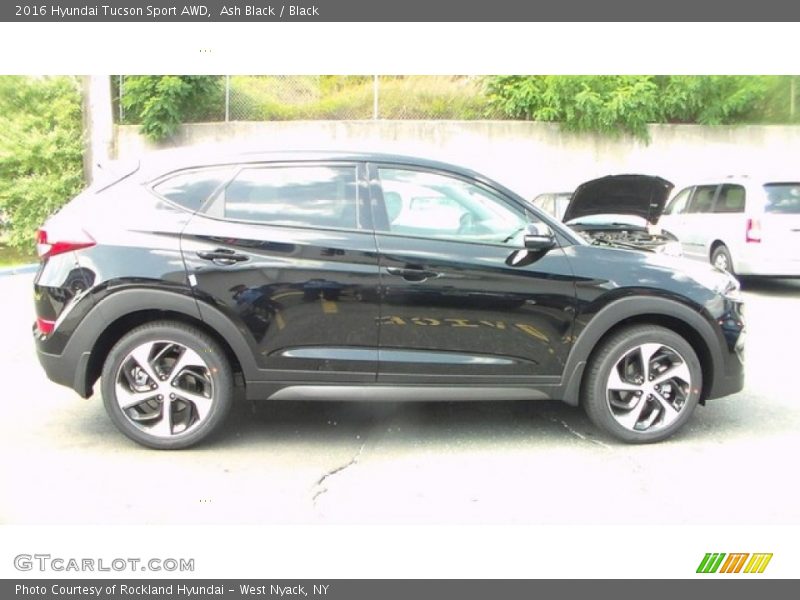 Ash Black / Black 2016 Hyundai Tucson Sport AWD