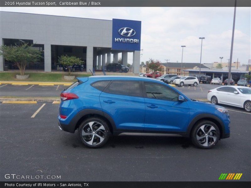 Caribbean Blue / Black 2016 Hyundai Tucson Sport