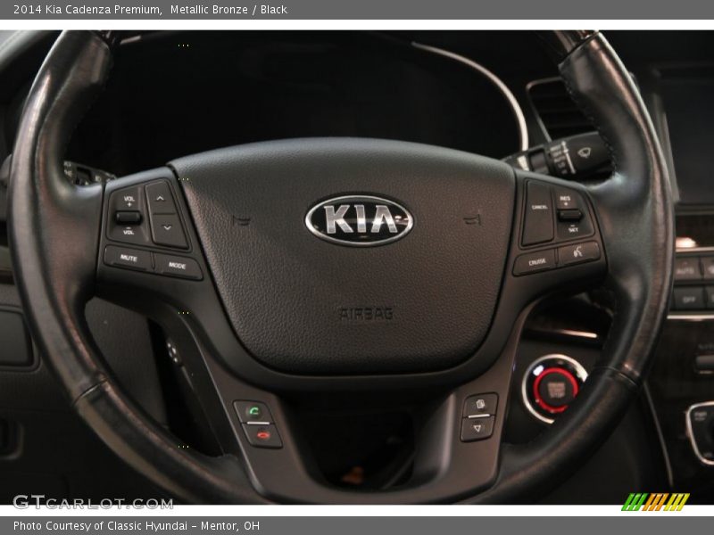 Metallic Bronze / Black 2014 Kia Cadenza Premium