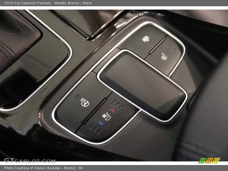 Metallic Bronze / Black 2014 Kia Cadenza Premium