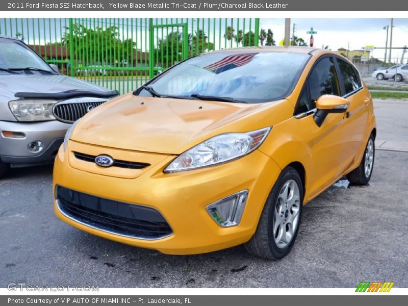 Yellow Blaze Metallic Tri-Coat / Plum/Charcoal Black Leather 2011 Ford Fiesta SES Hatchback