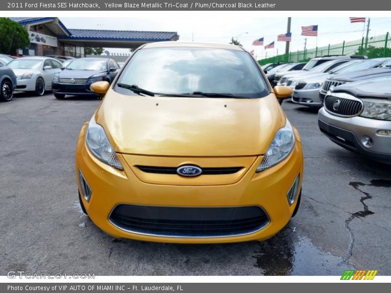 Yellow Blaze Metallic Tri-Coat / Plum/Charcoal Black Leather 2011 Ford Fiesta SES Hatchback