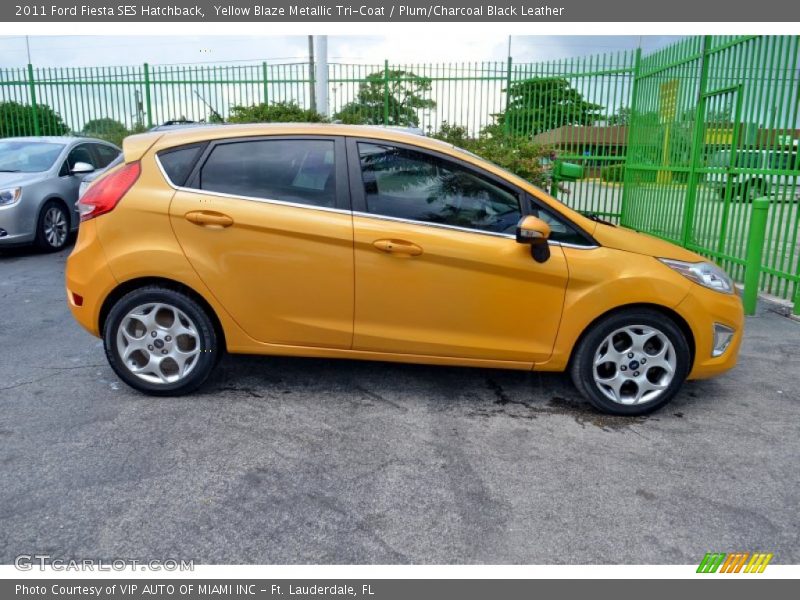 Yellow Blaze Metallic Tri-Coat / Plum/Charcoal Black Leather 2011 Ford Fiesta SES Hatchback