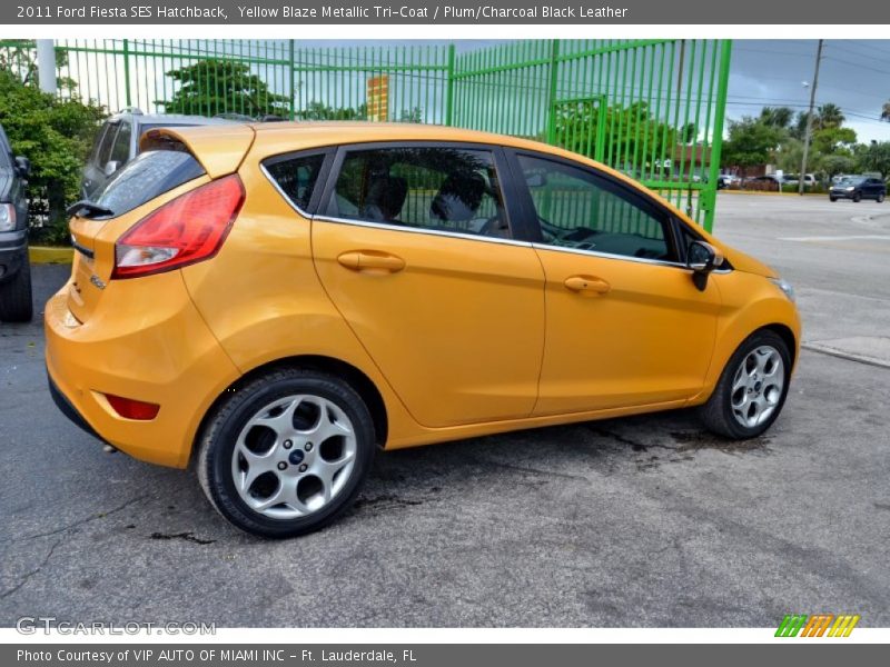 Yellow Blaze Metallic Tri-Coat / Plum/Charcoal Black Leather 2011 Ford Fiesta SES Hatchback