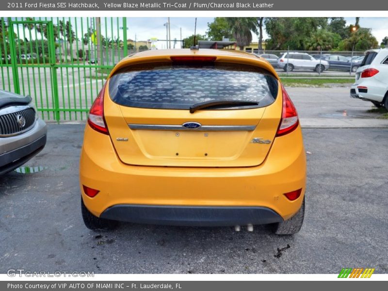 Yellow Blaze Metallic Tri-Coat / Plum/Charcoal Black Leather 2011 Ford Fiesta SES Hatchback