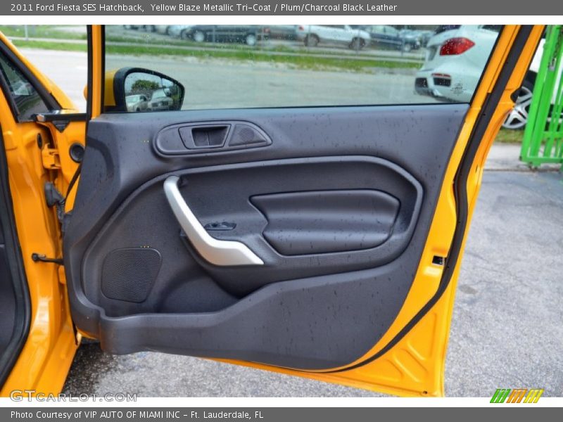 Door Panel of 2011 Fiesta SES Hatchback