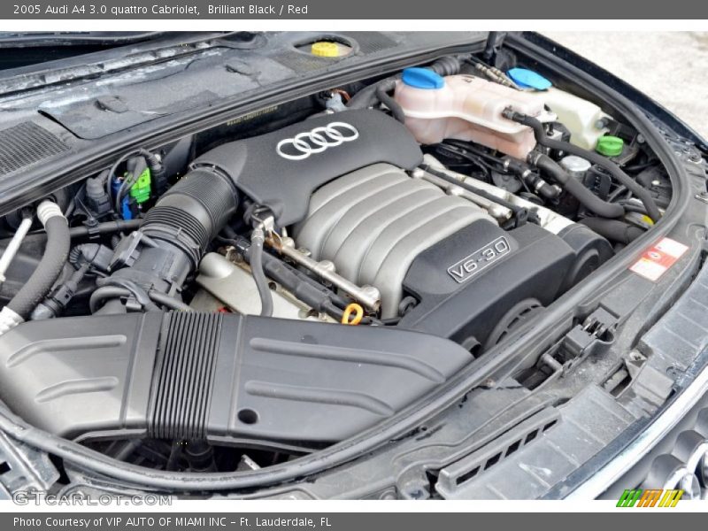  2005 A4 3.0 quattro Cabriolet Engine - 3.0 Liter DOHC 30-Valve V6