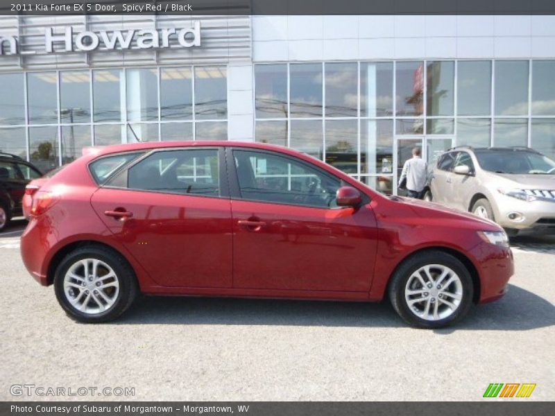 Spicy Red / Black 2011 Kia Forte EX 5 Door