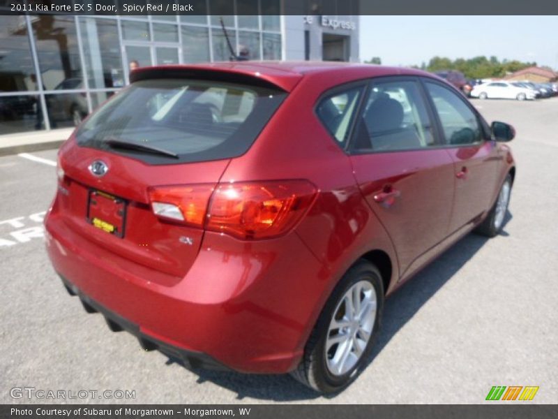 Spicy Red / Black 2011 Kia Forte EX 5 Door