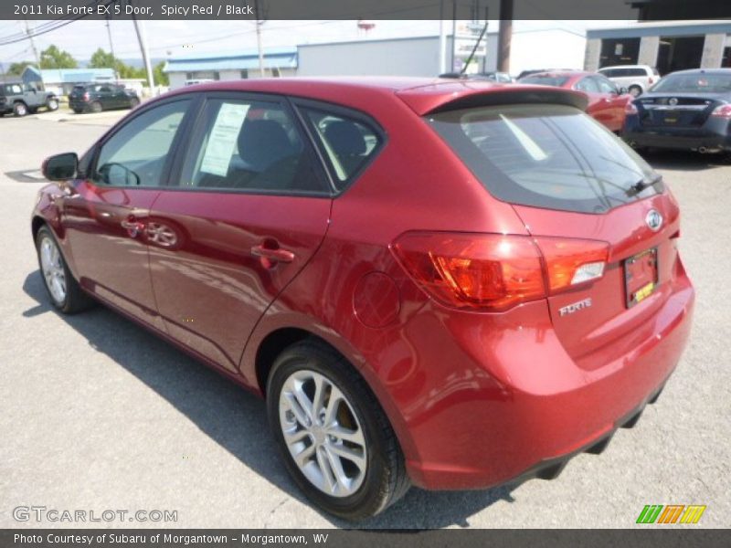 Spicy Red / Black 2011 Kia Forte EX 5 Door