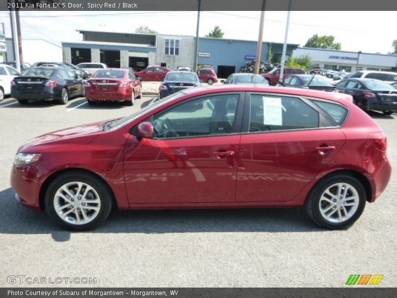 Spicy Red / Black 2011 Kia Forte EX 5 Door