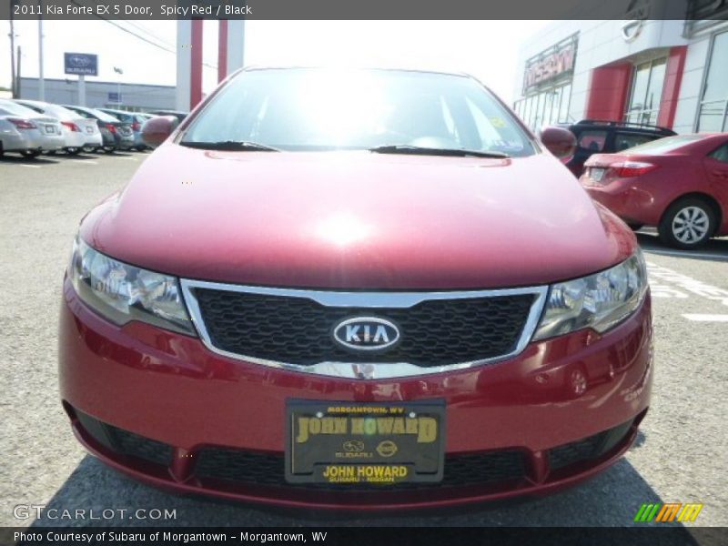 Spicy Red / Black 2011 Kia Forte EX 5 Door