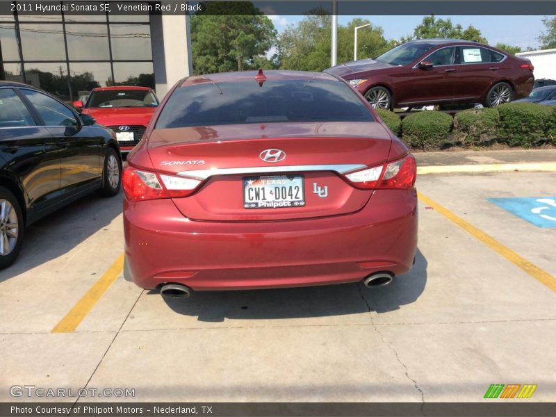 Venetian Red / Black 2011 Hyundai Sonata SE