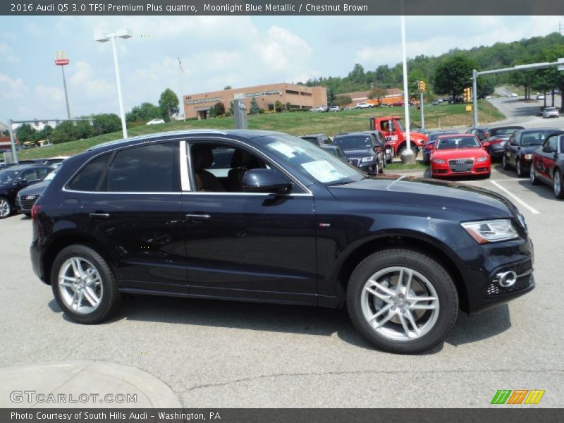 Moonlight Blue Metallic / Chestnut Brown 2016 Audi Q5 3.0 TFSI Premium Plus quattro