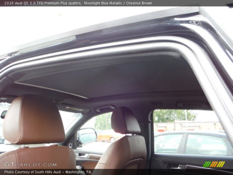 Moonlight Blue Metallic / Chestnut Brown 2016 Audi Q5 3.0 TFSI Premium Plus quattro