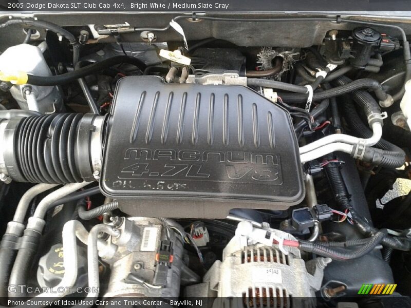 Bright White / Medium Slate Gray 2005 Dodge Dakota SLT Club Cab 4x4