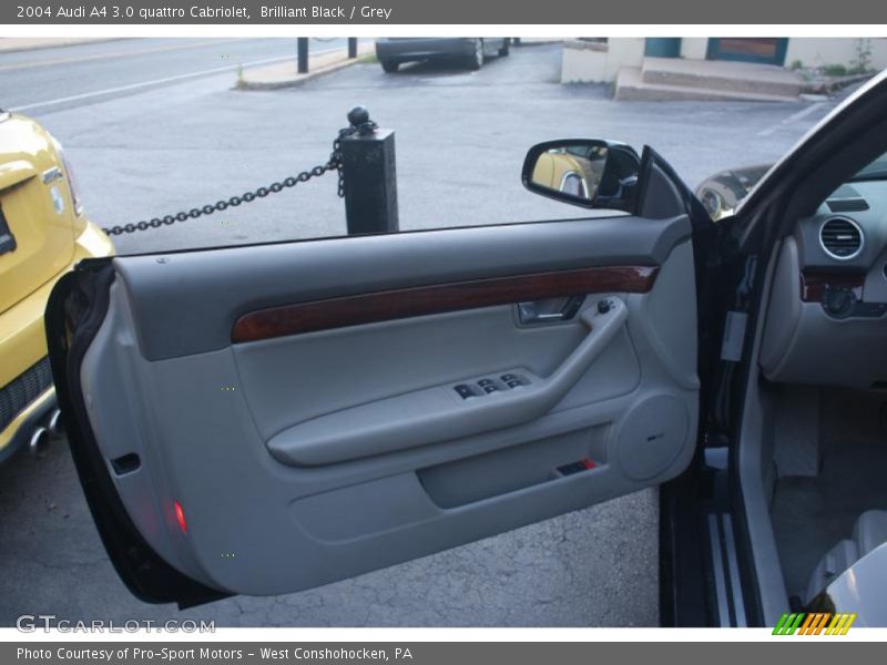 Door Panel of 2004 A4 3.0 quattro Cabriolet