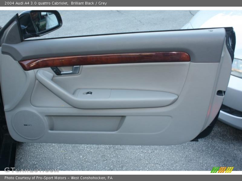 Door Panel of 2004 A4 3.0 quattro Cabriolet