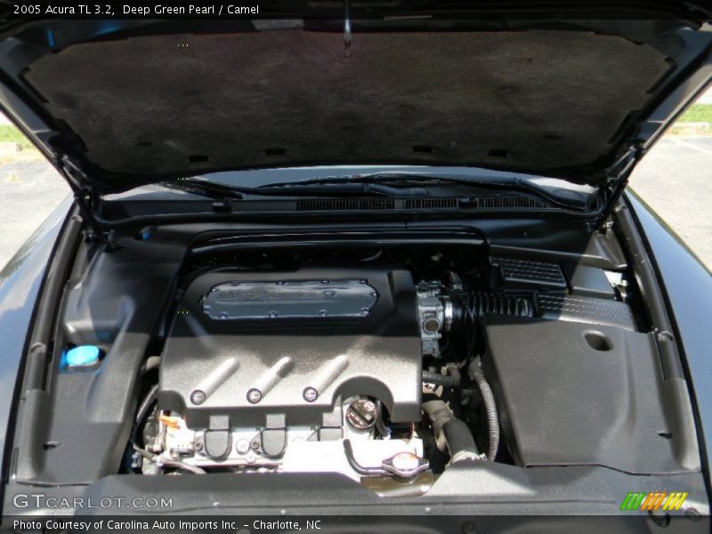 Deep Green Pearl / Camel 2005 Acura TL 3.2