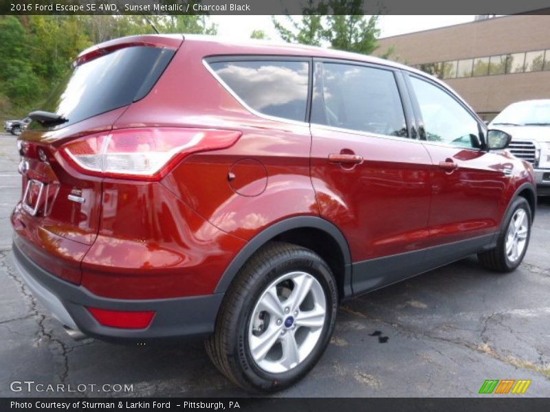 Sunset Metallic / Charcoal Black 2016 Ford Escape SE 4WD