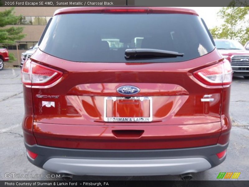 Sunset Metallic / Charcoal Black 2016 Ford Escape SE 4WD