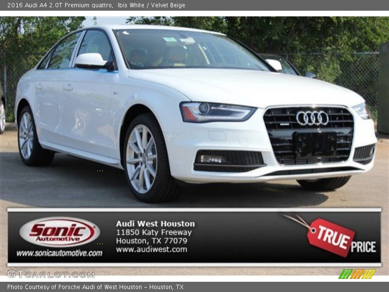Ibis White / Velvet Beige 2016 Audi A4 2.0T Premium quattro