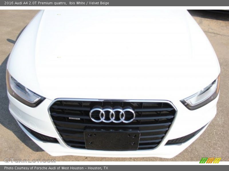 Ibis White / Velvet Beige 2016 Audi A4 2.0T Premium quattro