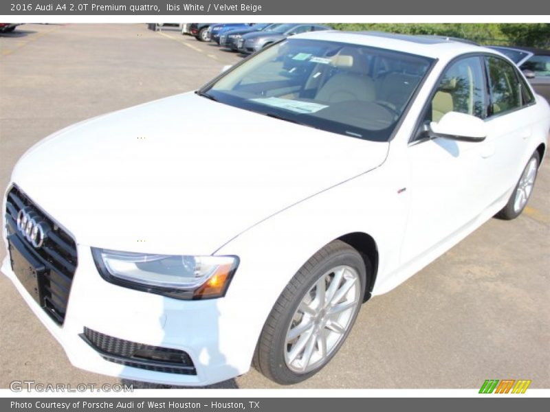 Ibis White / Velvet Beige 2016 Audi A4 2.0T Premium quattro