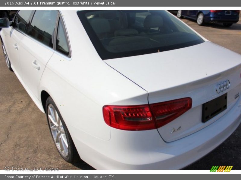 Ibis White / Velvet Beige 2016 Audi A4 2.0T Premium quattro