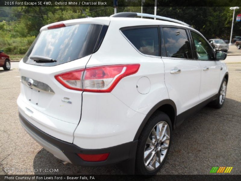 Oxford White / Charcoal Black 2016 Ford Escape SE 4WD