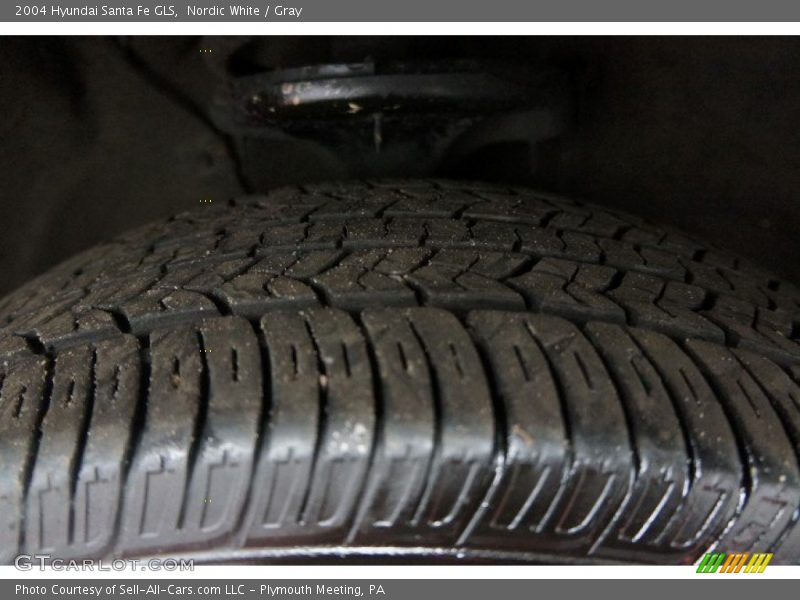 Nordic White / Gray 2004 Hyundai Santa Fe GLS
