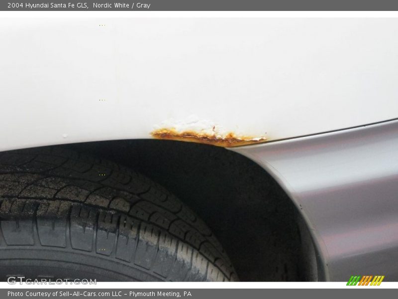 Nordic White / Gray 2004 Hyundai Santa Fe GLS