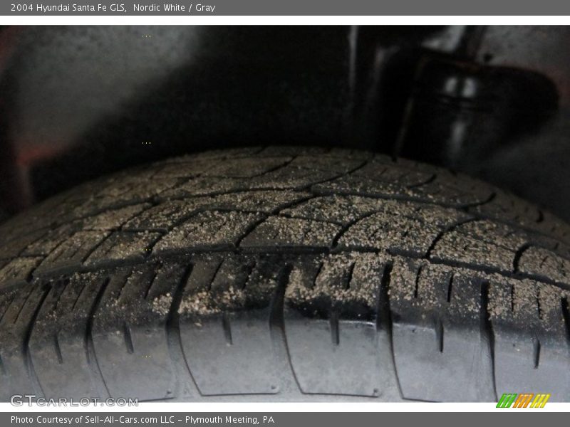 Nordic White / Gray 2004 Hyundai Santa Fe GLS