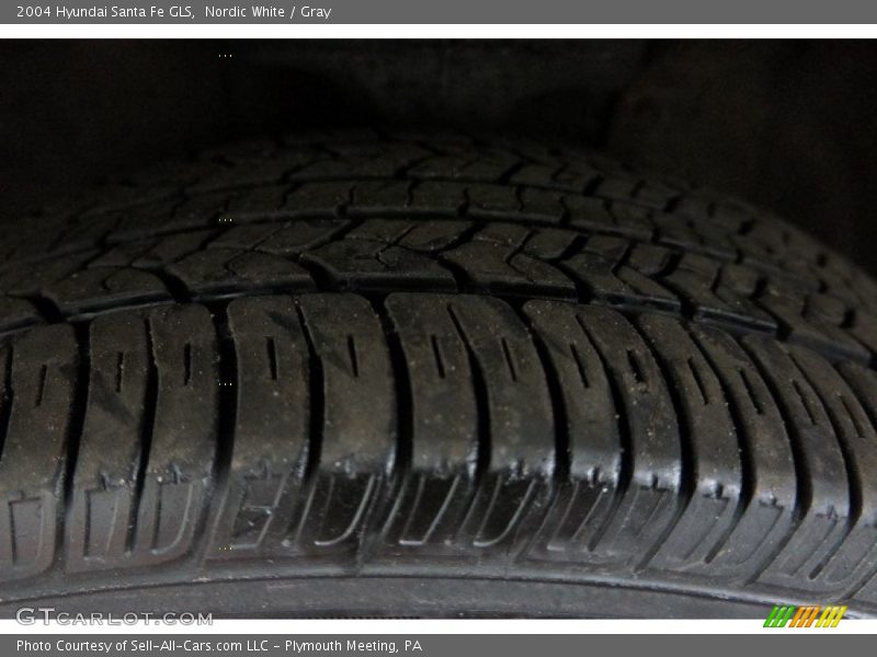 Nordic White / Gray 2004 Hyundai Santa Fe GLS