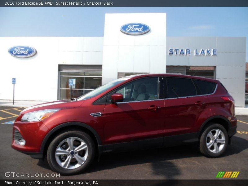 Sunset Metallic / Charcoal Black 2016 Ford Escape SE 4WD