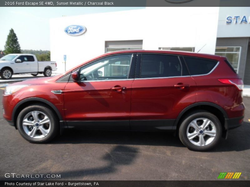 Sunset Metallic / Charcoal Black 2016 Ford Escape SE 4WD