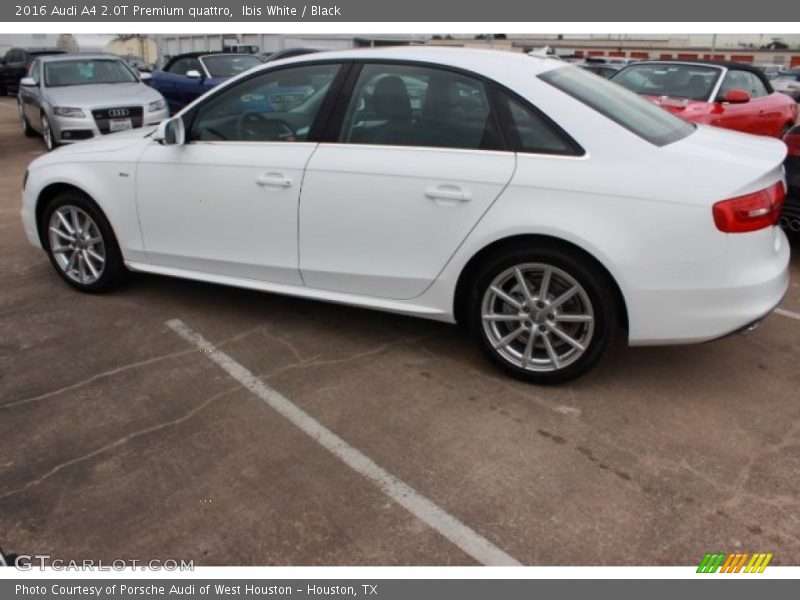 Ibis White / Black 2016 Audi A4 2.0T Premium quattro