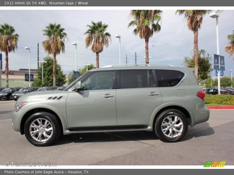 Mountain Sage / Wheat 2012 Infiniti QX 56 4WD