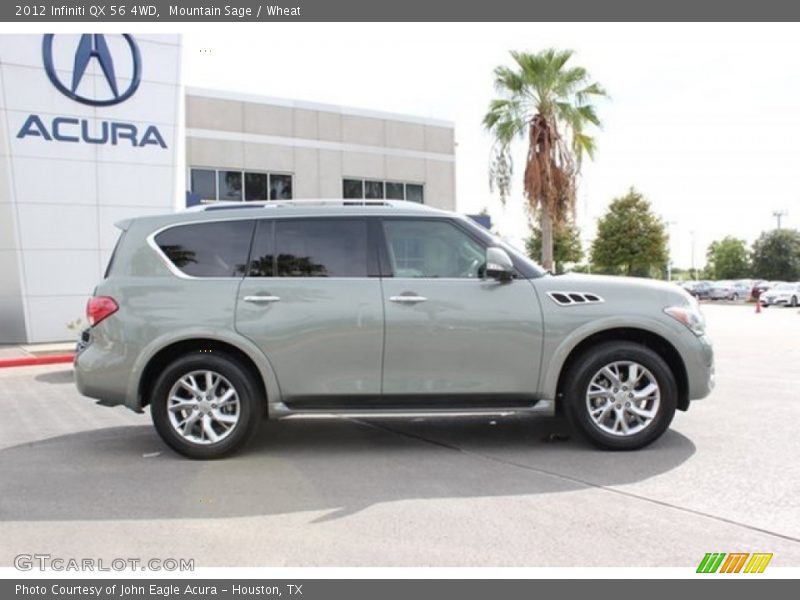 Mountain Sage / Wheat 2012 Infiniti QX 56 4WD