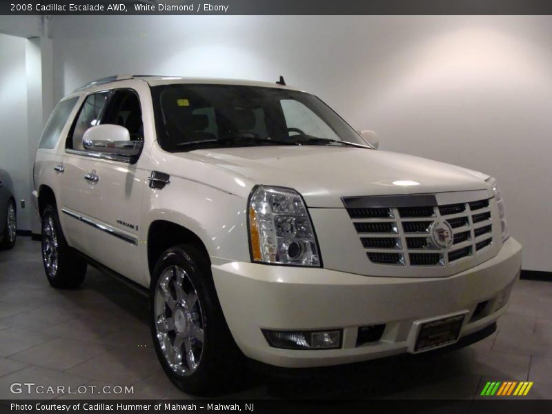 White Diamond / Ebony 2008 Cadillac Escalade AWD