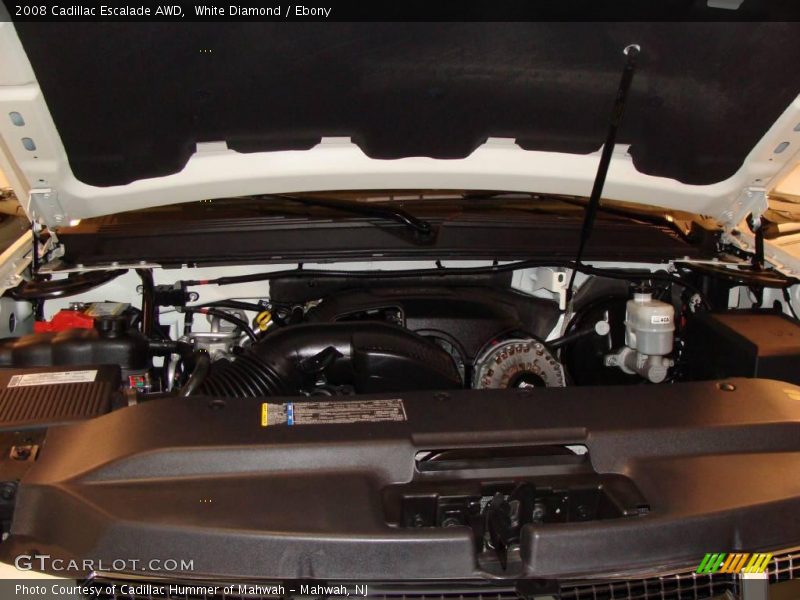 White Diamond / Ebony 2008 Cadillac Escalade AWD