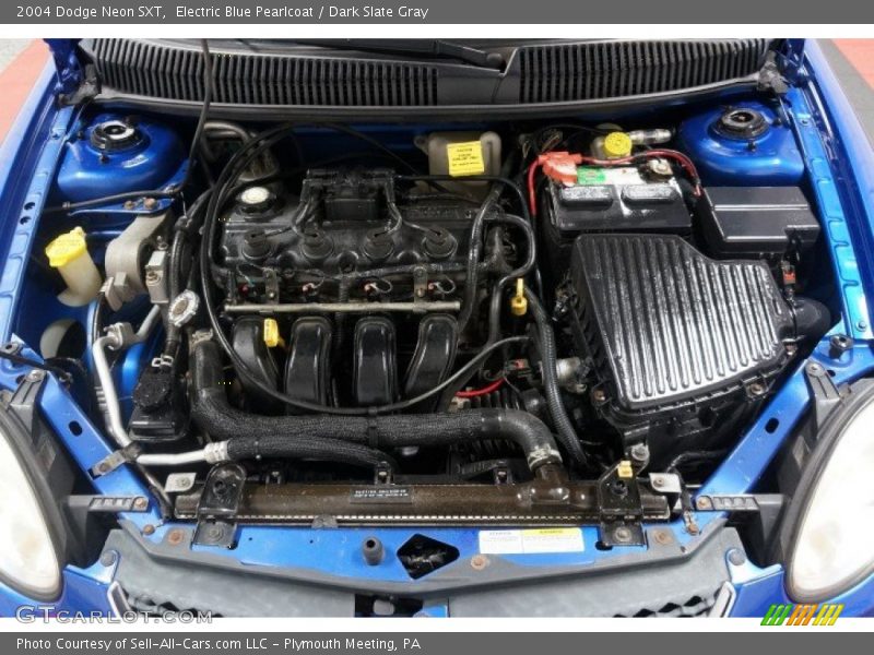 Electric Blue Pearlcoat / Dark Slate Gray 2004 Dodge Neon SXT