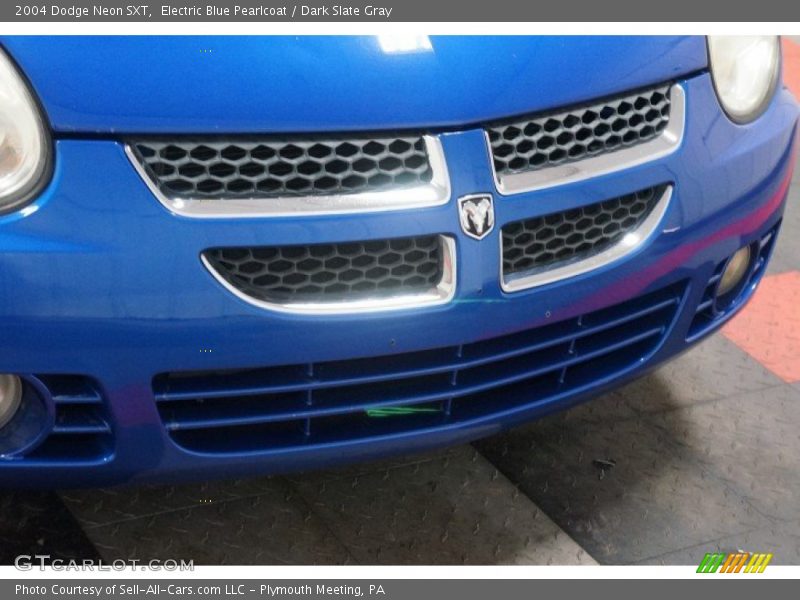 Electric Blue Pearlcoat / Dark Slate Gray 2004 Dodge Neon SXT