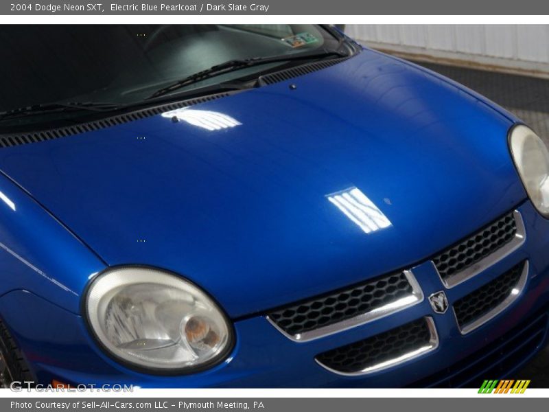 Electric Blue Pearlcoat / Dark Slate Gray 2004 Dodge Neon SXT