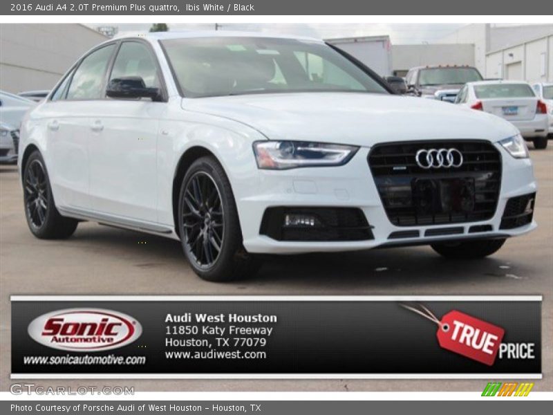 Ibis White / Black 2016 Audi A4 2.0T Premium Plus quattro