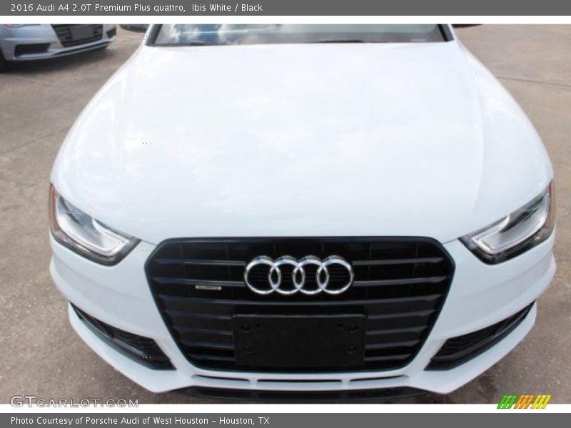 Ibis White / Black 2016 Audi A4 2.0T Premium Plus quattro