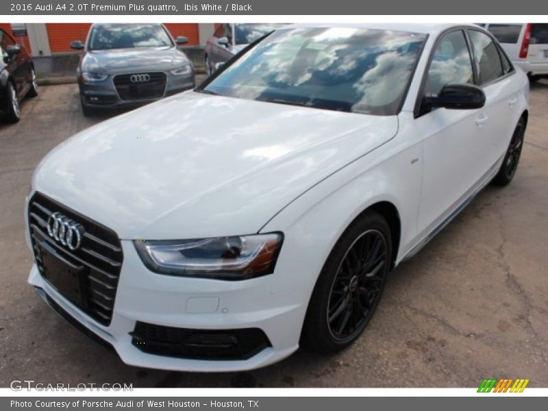 Ibis White / Black 2016 Audi A4 2.0T Premium Plus quattro